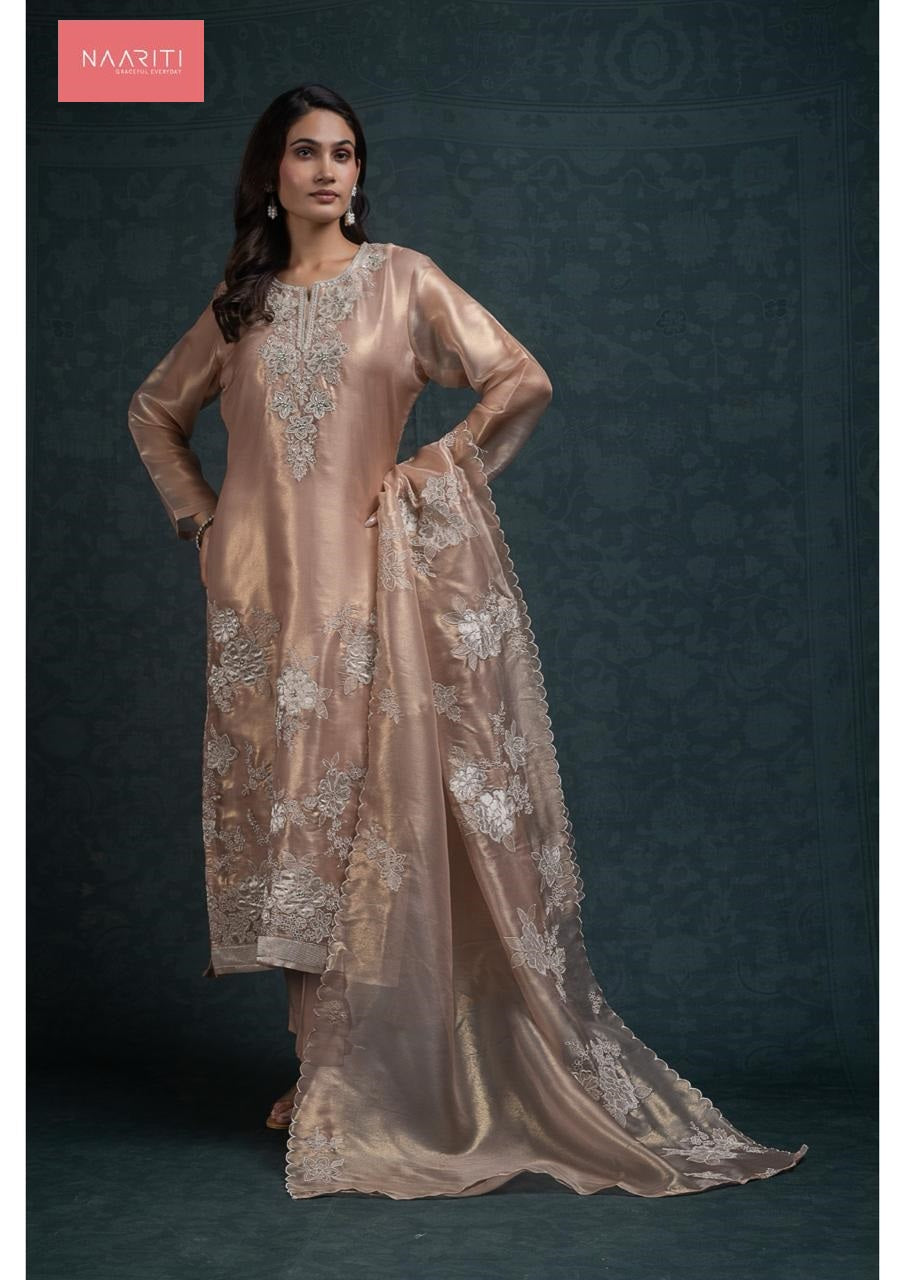 Takshi 128 Naariti Tissue Silk Pant Style Suits Manufacturer Ahmedabad