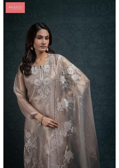 Takshi 128 Naariti Tissue Silk Pant Style Suits Manufacturer Ahmedabad