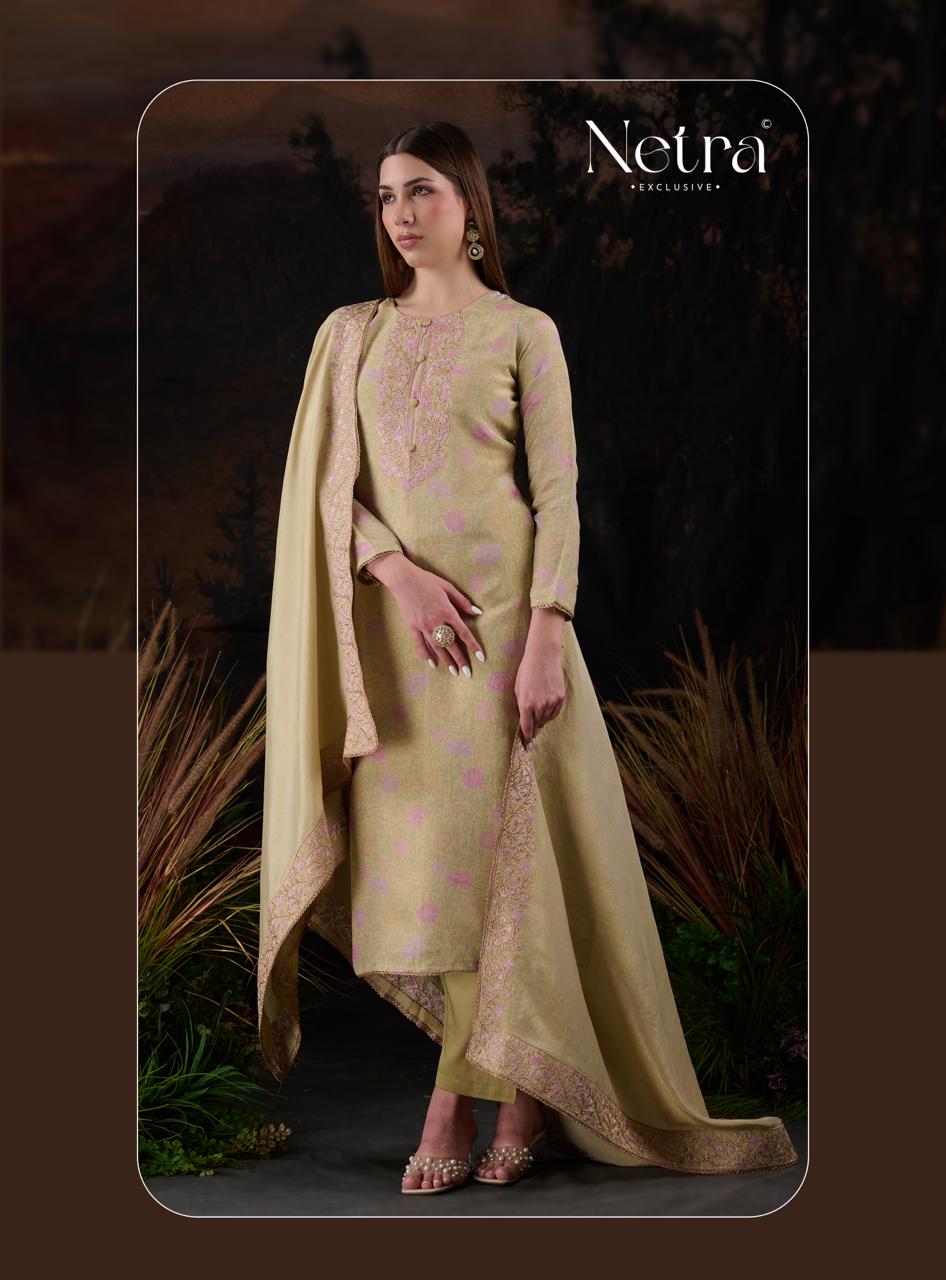 Thanvi Netra Viscose Silk Pant Style Suits Exporter India