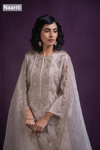 Tilnoor 2873 Naariti Banarasi Pant Style Suits Wholesaler Ahmedabad