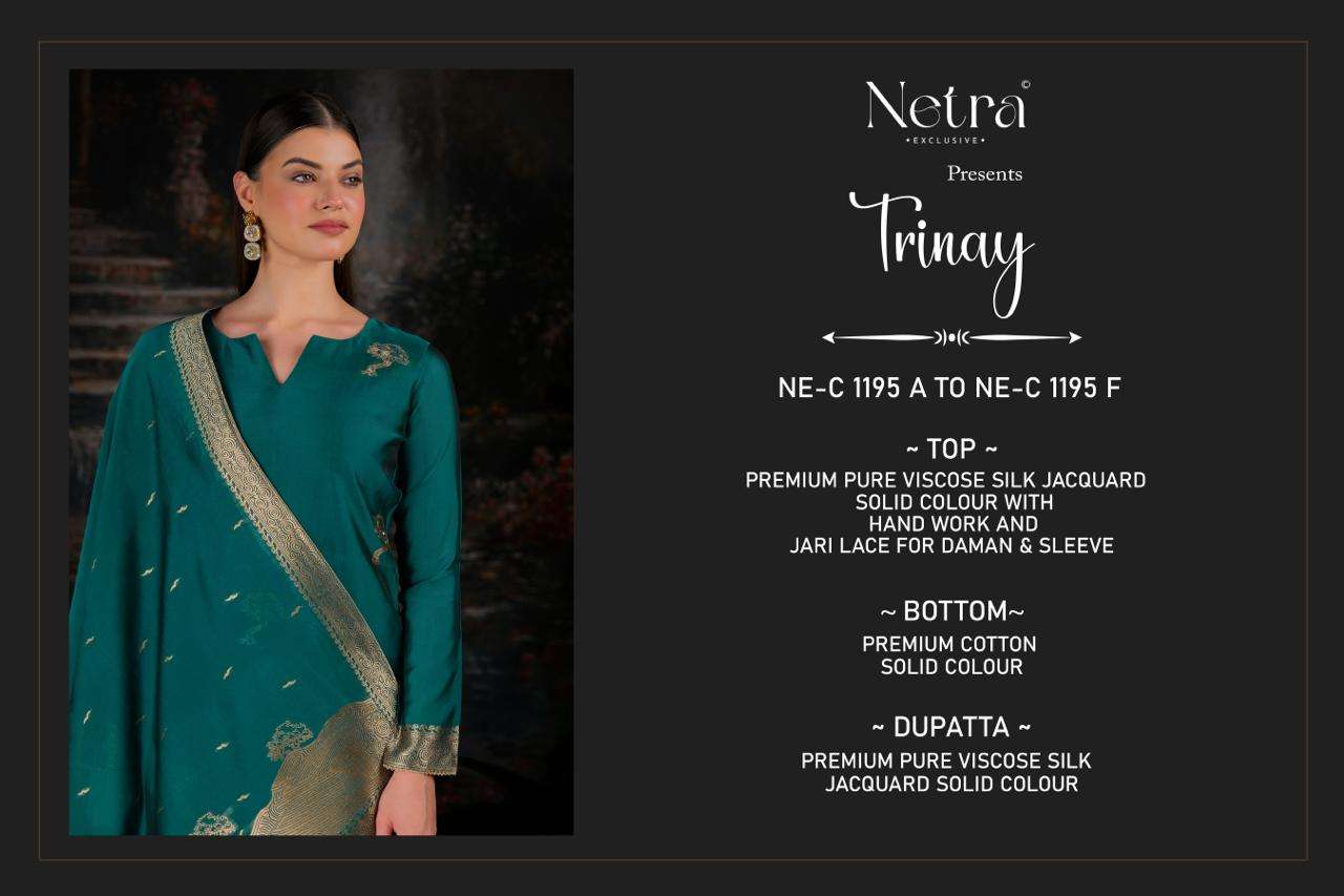 Trinay Netra Viscose Silk Pant Style Suits Wholesale Rate