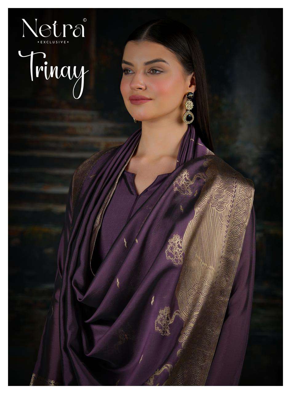 Trinay Netra Viscose Silk Pant Style Suits Wholesale Rate
