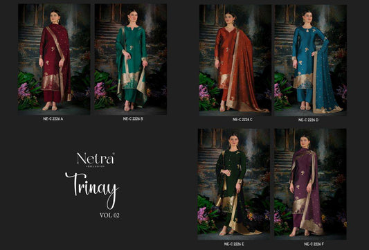 Trinay Vol 2 Netra Viscose Silk Pant Style Suits Supplier Ahmedabad