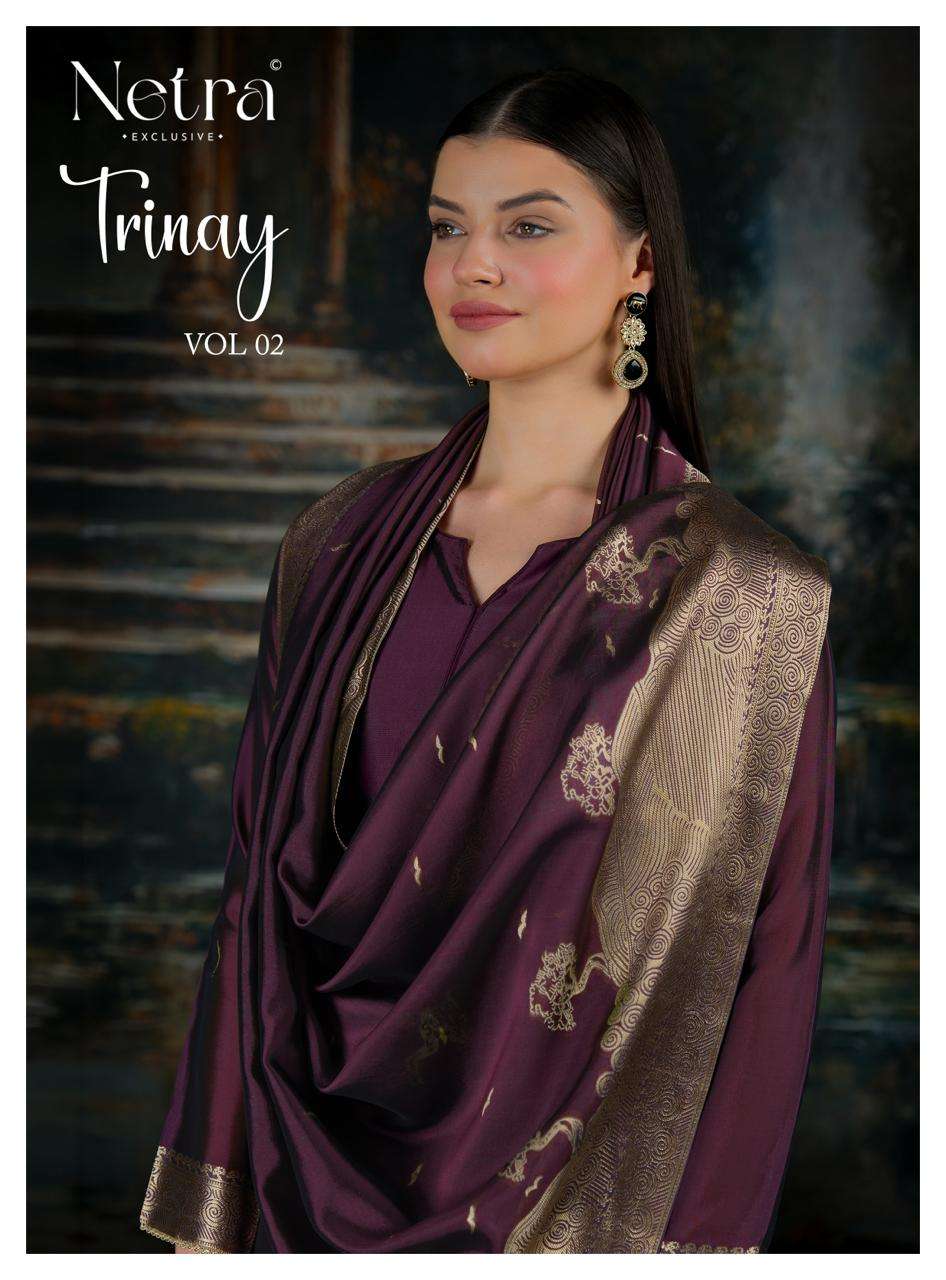 Trinay Vol 2 Netra Viscose Silk Pant Style Suits Supplier Ahmedabad