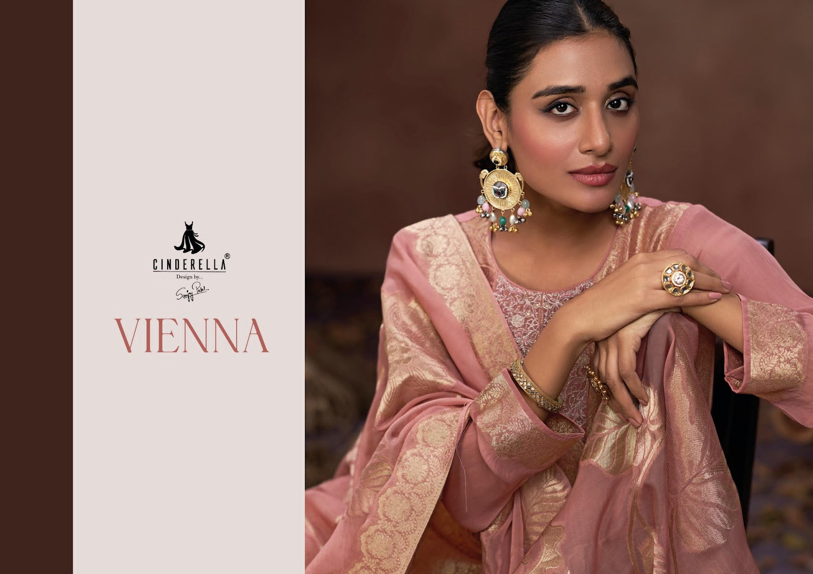 Vienna Cinderella Pure Organza Pant Style Suits Wholesaler Gujarat