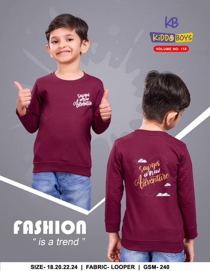 Vol 118 Kiddo Looper Boys Tshirt Wholesale Price