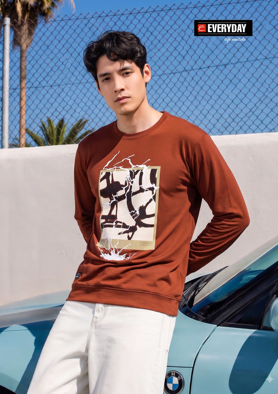 Vol 1433 Full Sleeves Everyday Imported Mens Tshirts Wholesale Price