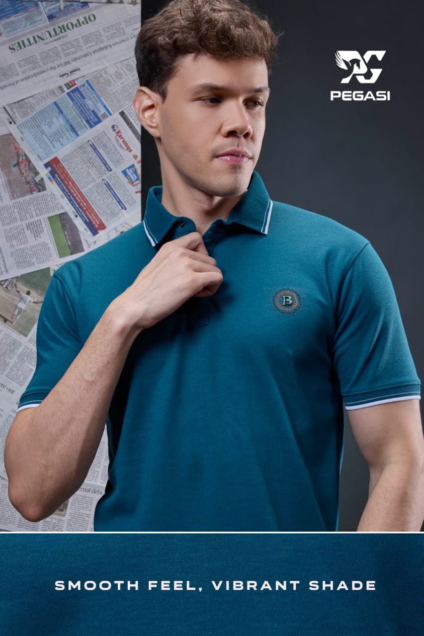 Vol P317 Pegasi Canvas Mens Tshirts Wholesaler