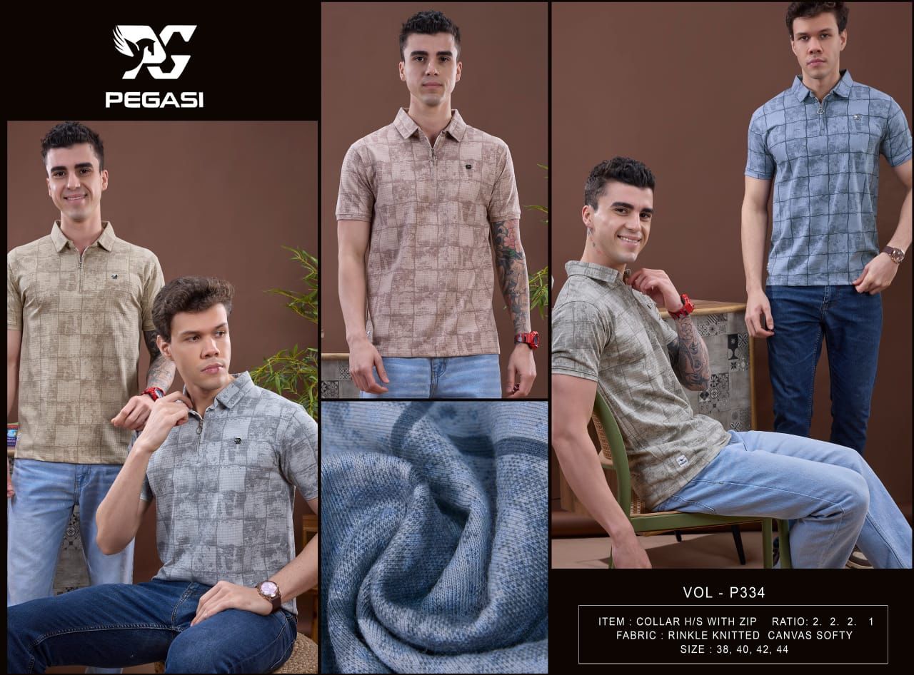 Vol P334 Pegasi Canvas Mens Tshirts Supplier India