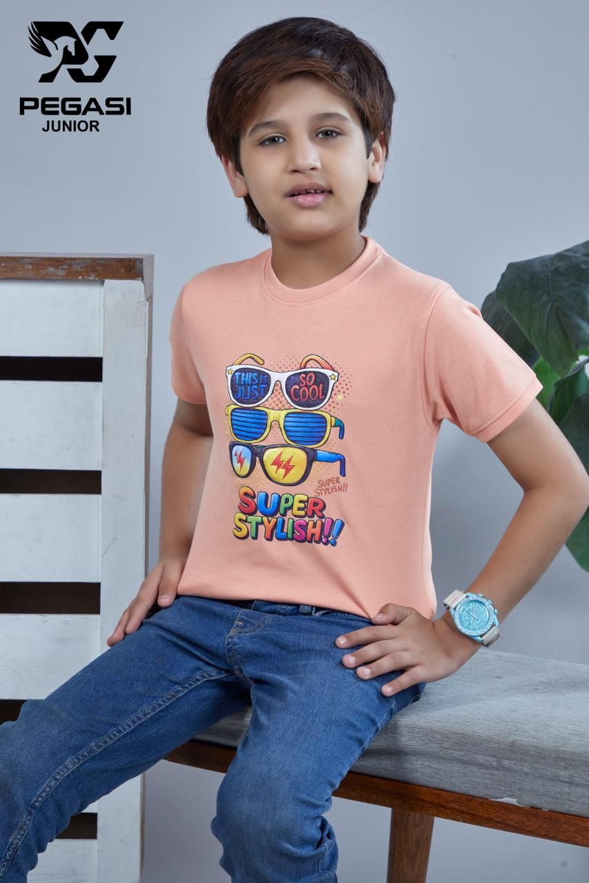 Vol Pj006 Pegasi Canvas Boys Tshirt Wholesale Rate