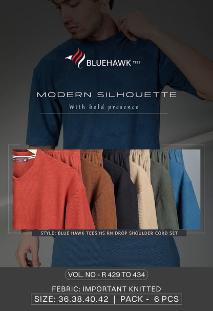 Vol R 429 To 434 Bluehawk Imported Mens Co Ord Set Exporter India