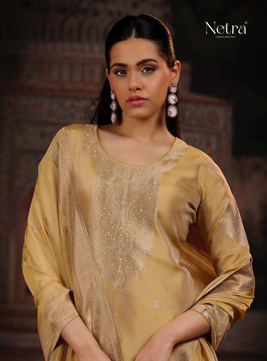 Vrisa Vol 5 Netra Premium Viscose Pant Style Suits Wholesaler Gujarat