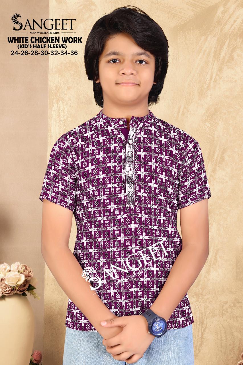 White Chicken Work Short Sangeet Rayon Boys Kurta Exporter