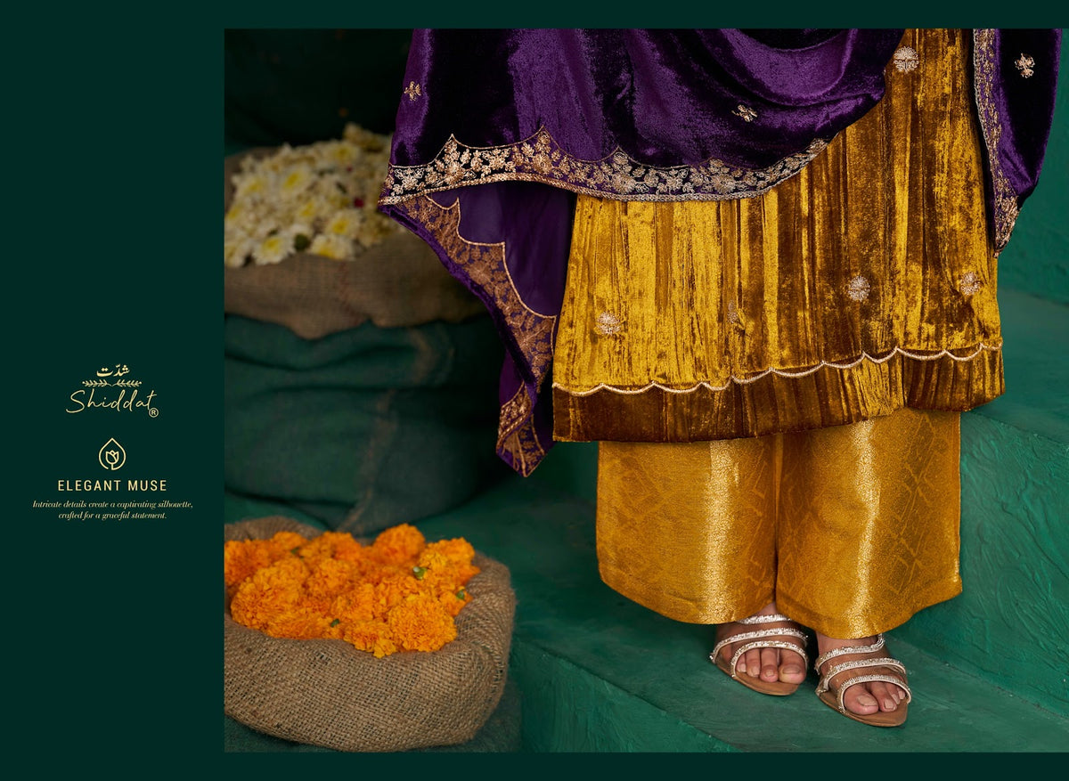 Zareen Shiddat Viscose Velvet Suits Manufacturer Gujarat