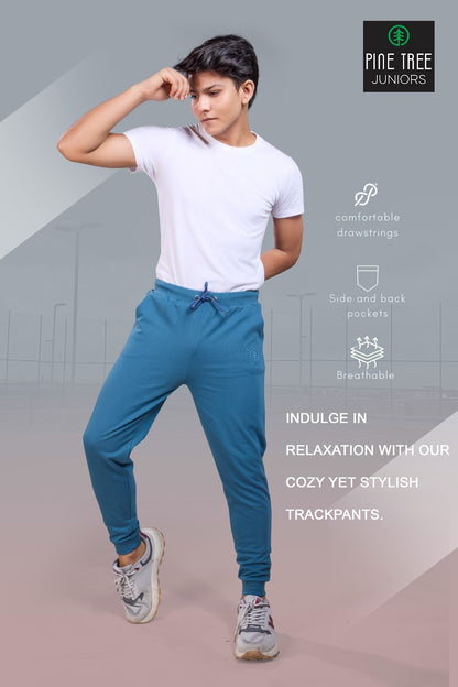 Ztpt002 B Tp Pine Tree Cotton Looper Boys Track Pant Supplier