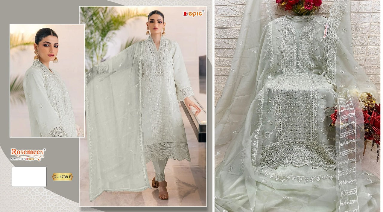 1738 Fepic Organza Pakistani Salwar Suits