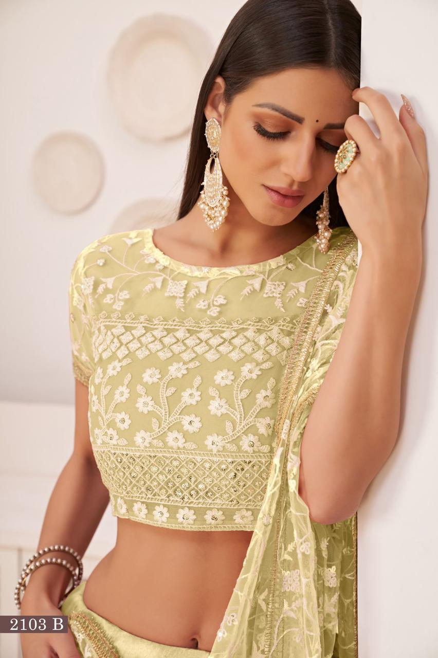 2103-Colors Narayani Fashion House Net Lehenga Choli
