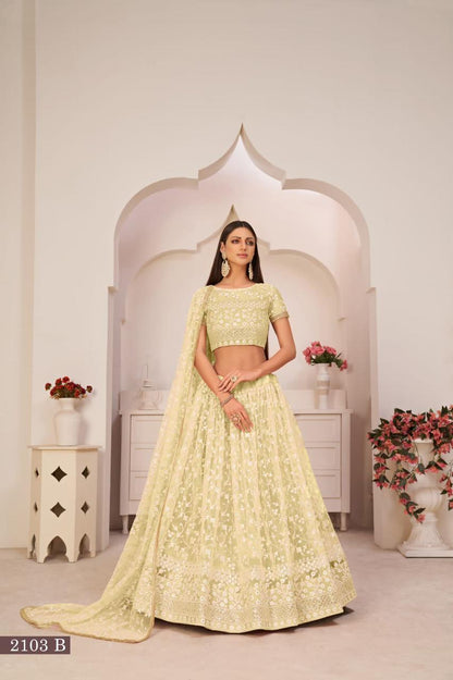 2103-Colors Narayani Fashion House Net Lehenga Choli