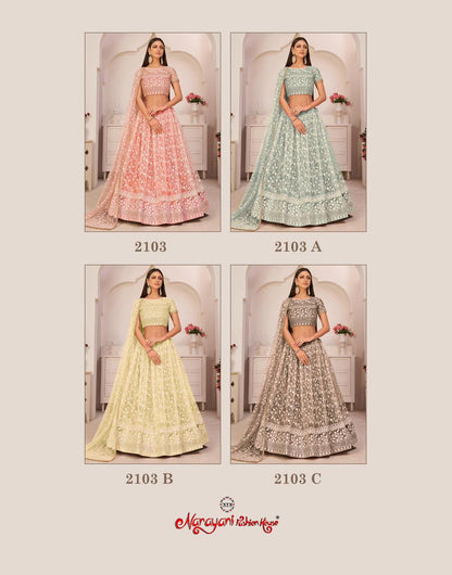 2103-Colors Narayani Fashion House Net Lehenga Choli