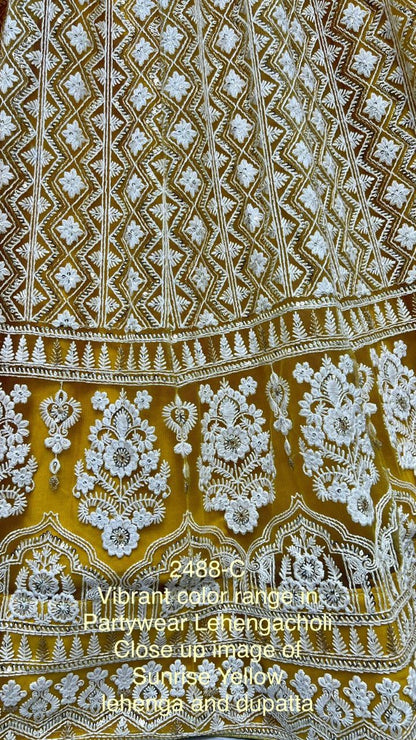 2488 Anjani Art Heavy Net Lehenga Choli