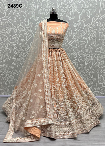 2489 Anjani Art Net Lehenga Choli