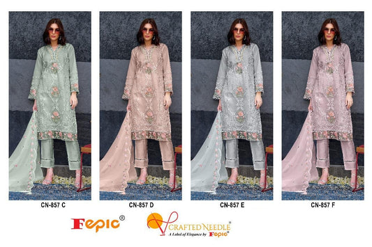 857 Crafted Needle Organza Pakistani Readymade Suits