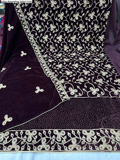 Aaliya Nayandeep Velvet Suits