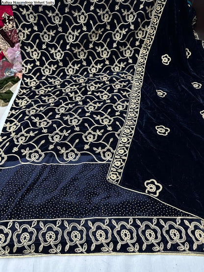 Aaliya Nayandeep Velvet Suits