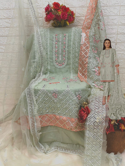 C-1669 Fepic Organza Pakistani Salwar Suits