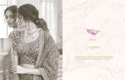 Cultural Vol 2 Zeel Silk Lehenga Choli