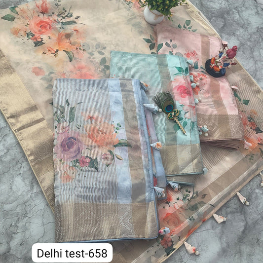 Delhi Test 658 Kalpveli Organza Sarees