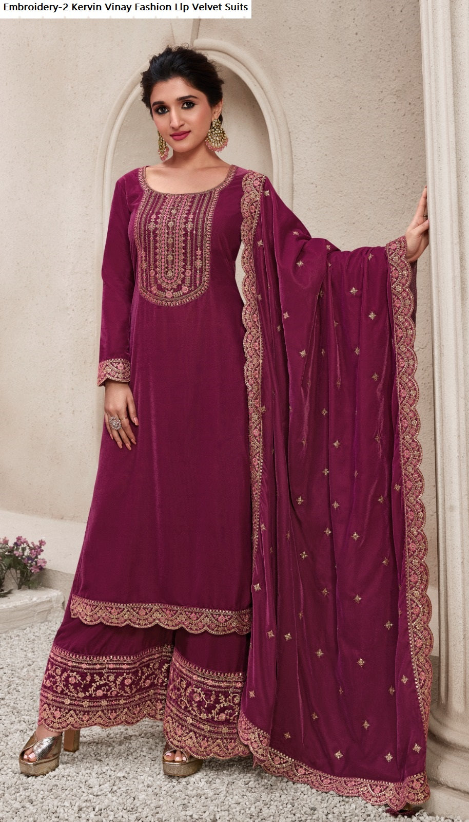 Embroidery-2 Kervin Vinay Fashion Llp Velvet Suits
