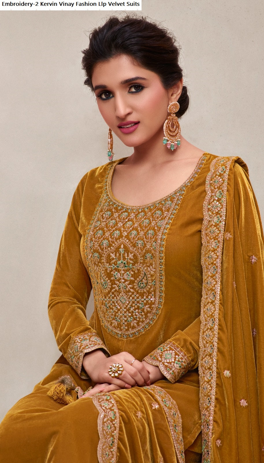 Embroidery-2 Kervin Vinay Fashion Llp Velvet Suits