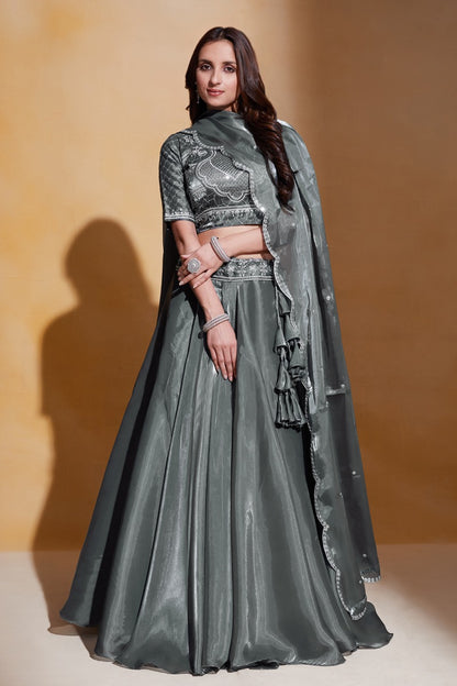Gulkanya Vol 3 Aahvan Designs Organza Lehenga Choli