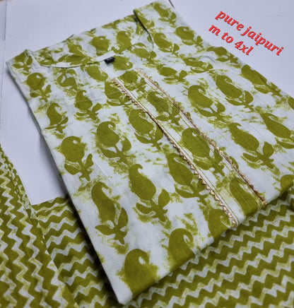Jaipuri Cotton B Navad Kurti Pant Set