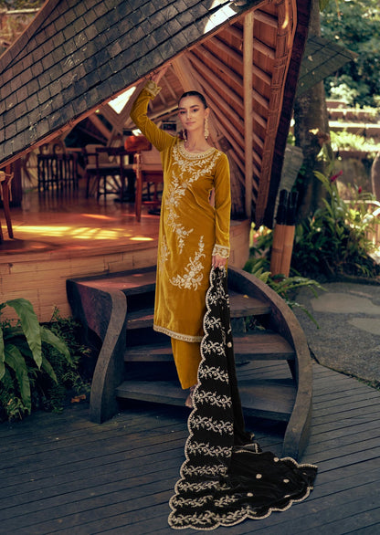 Rang E Makhmali Mumtaz Arts Fancy Velvet Suits