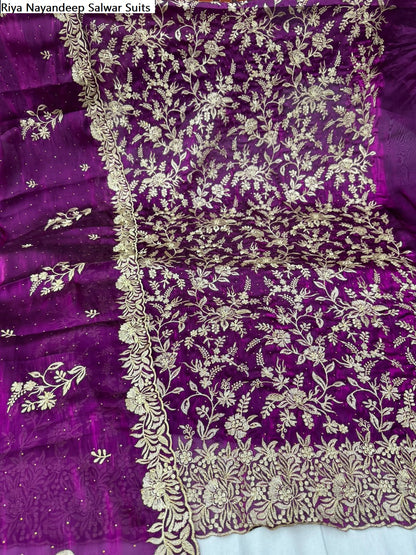 Riya Nayandeep Viscose Salwar Suits