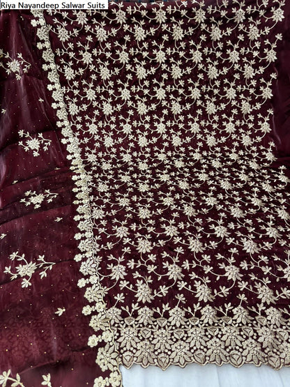 Riya Nayandeep Viscose Salwar Suits